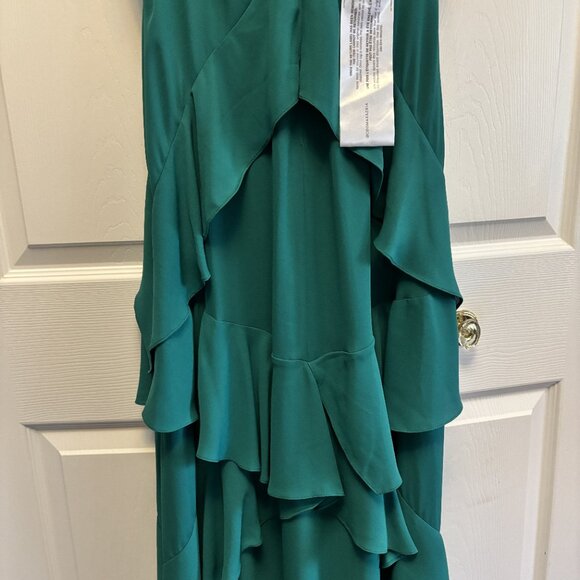 NWT Green Formal Maxi Dress, Size 6 by BCBG Maxazria - Picture 4 of 5